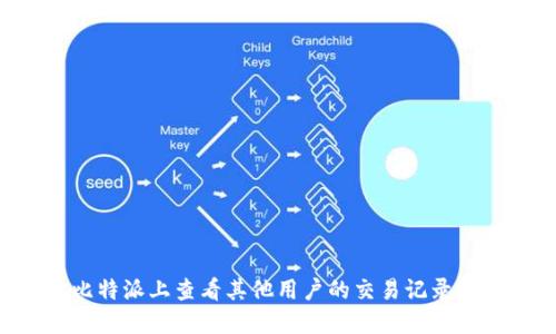 如何在比特派上查看其他用户的交易记录：详尽指南